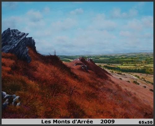 299 2009 monts d aree